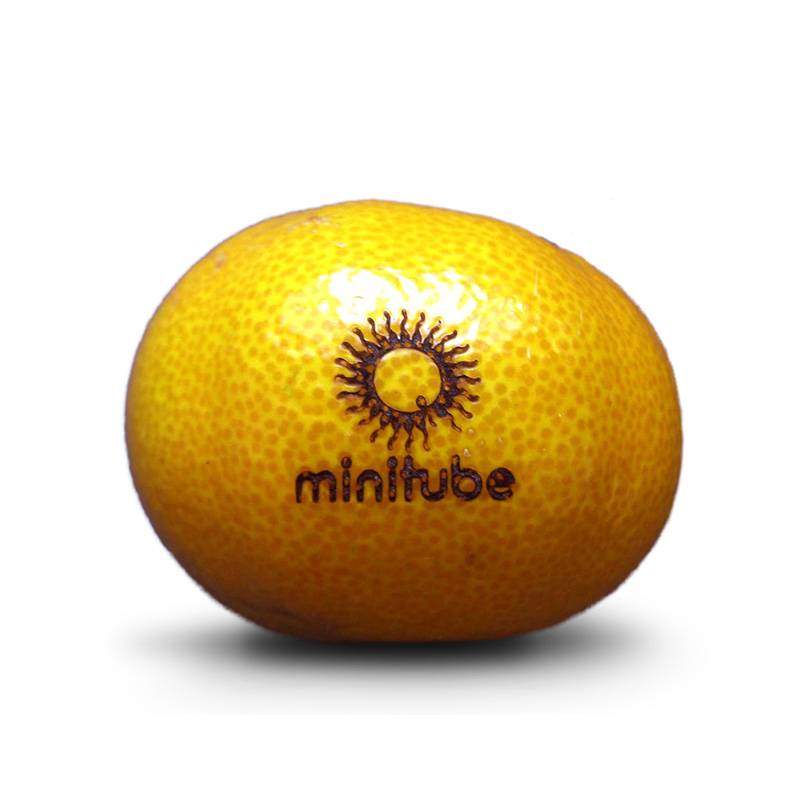 Logo auf Obst - Logo Obst - Manadrine mit Laser Gravur - Werbung auf Frucht graviert