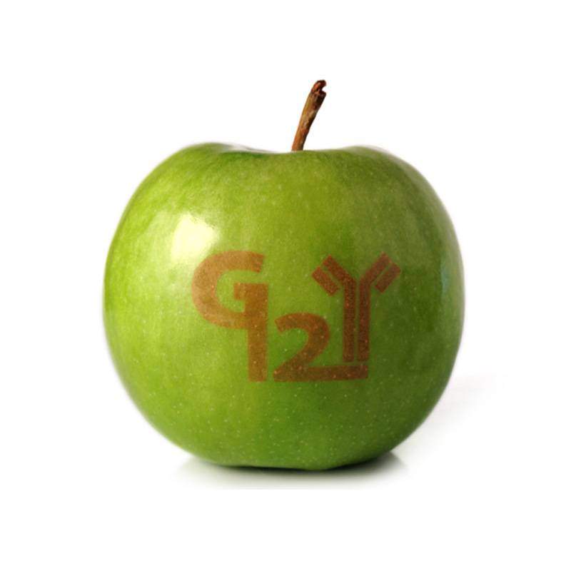 Apfel graviert - Lasergravur auf Obst