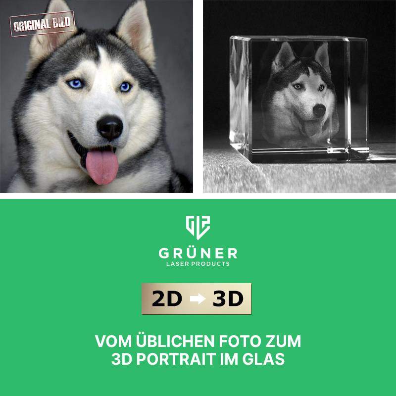 Vom üblichen Foto zum 3D Foto in Glas – Beispiel eines Hunde Portraits